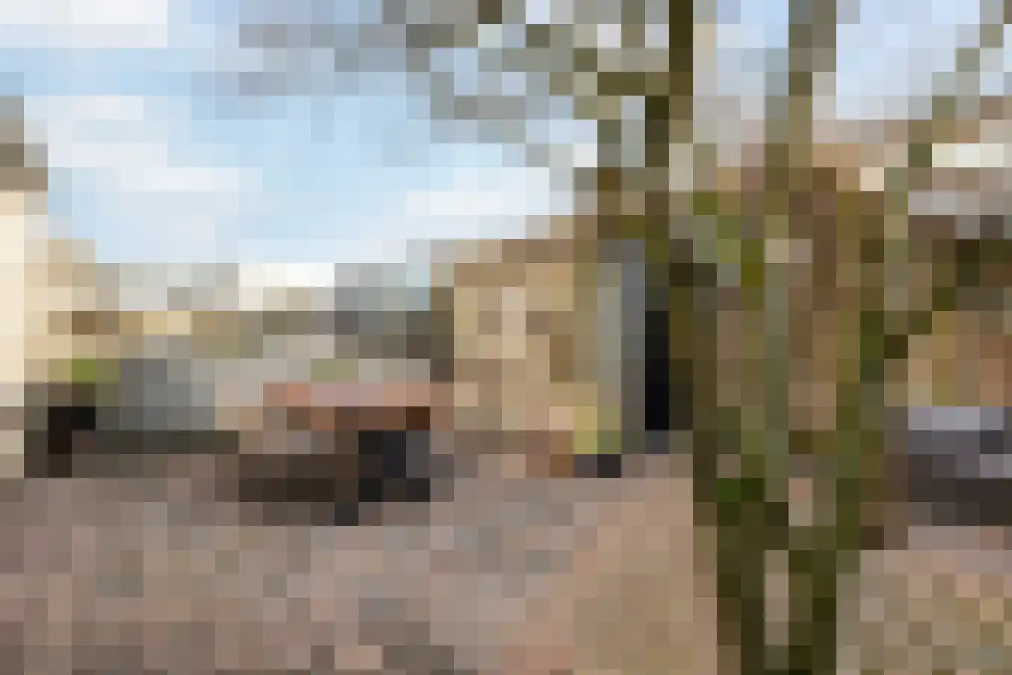 Gortmolenerf 30 Gouda thumbnail 56