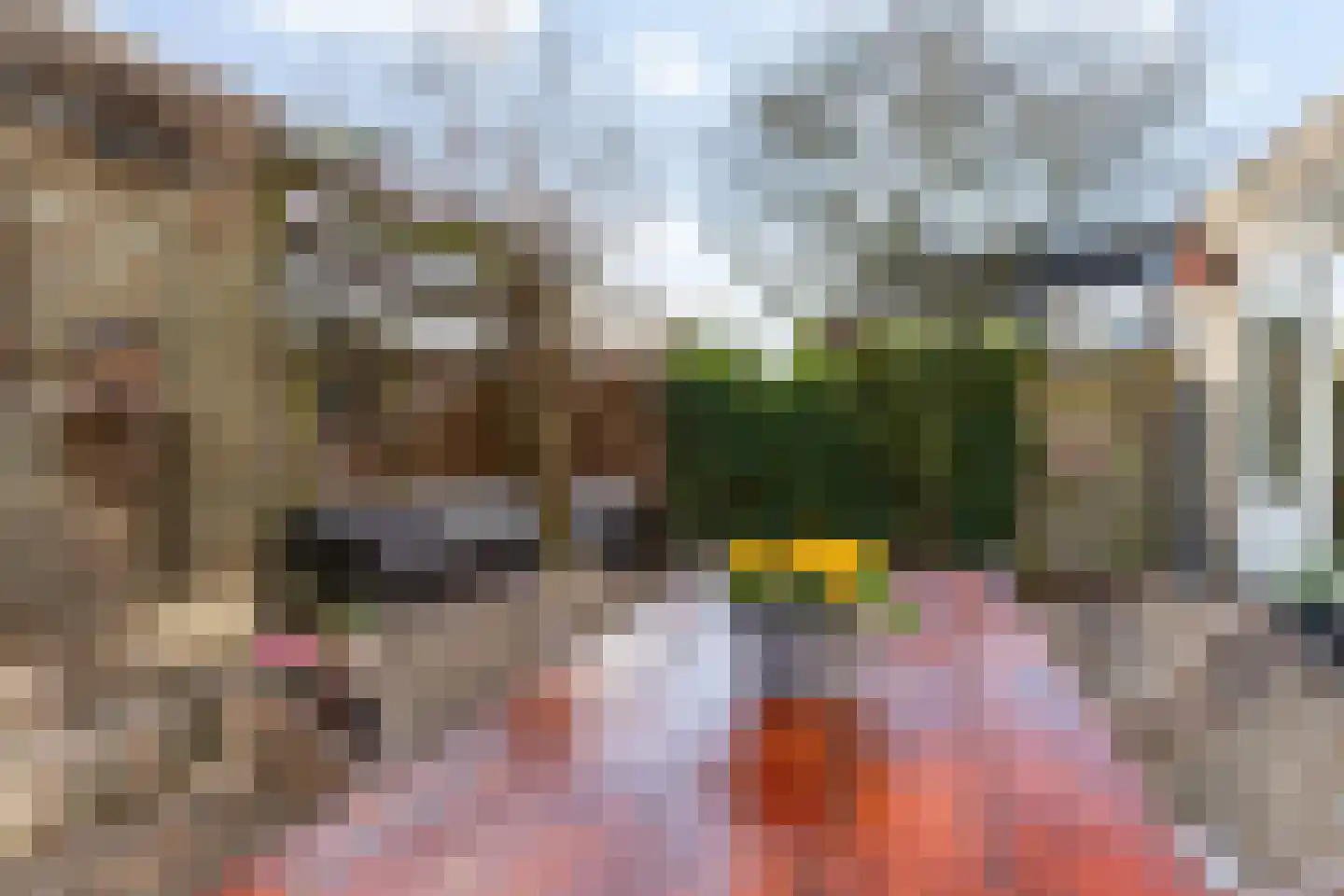 Gortmolenerf 30 Gouda thumbnail 57