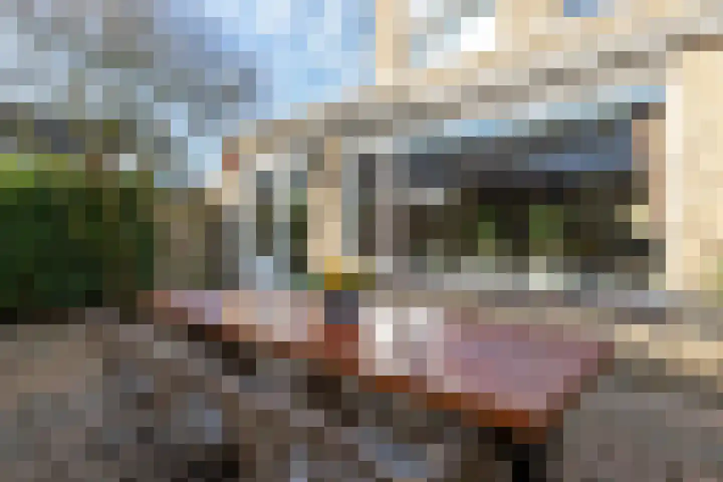 Gortmolenerf 30 Gouda thumbnail 58