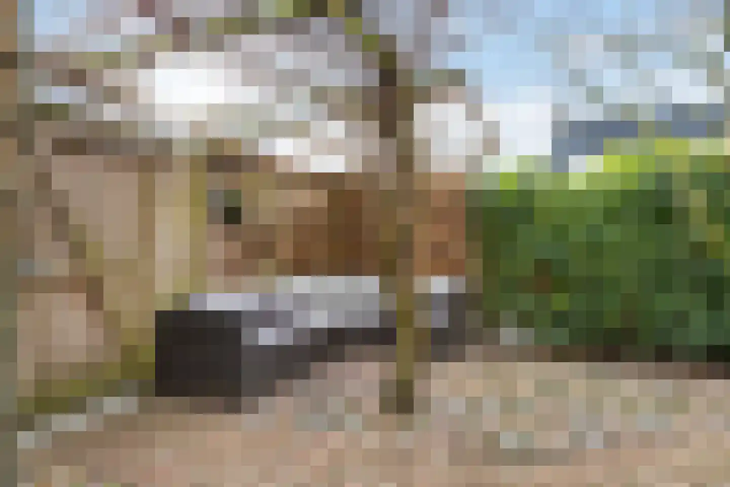 Gortmolenerf 30 Gouda thumbnail 59
