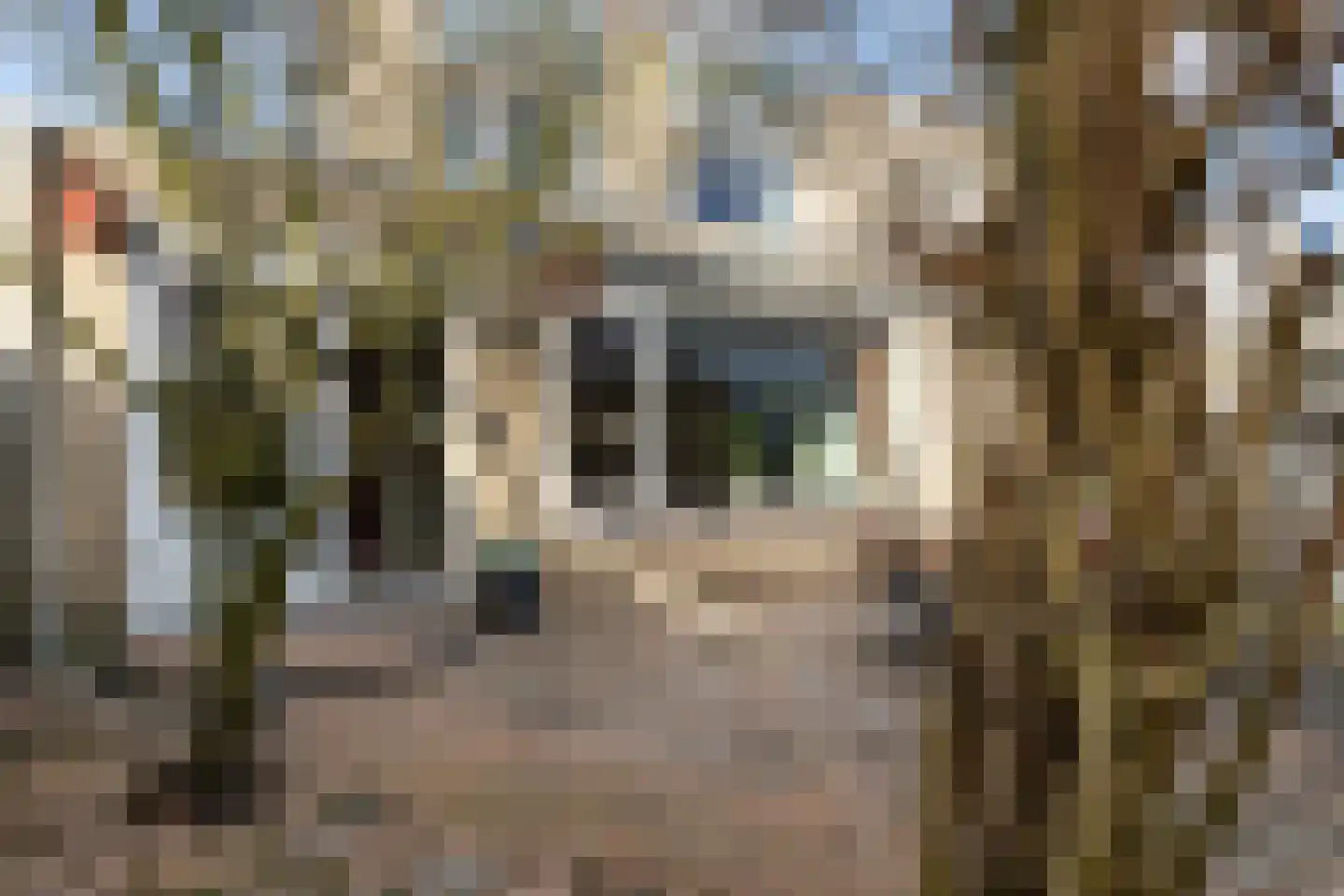 Gortmolenerf 30 Gouda thumbnail 60