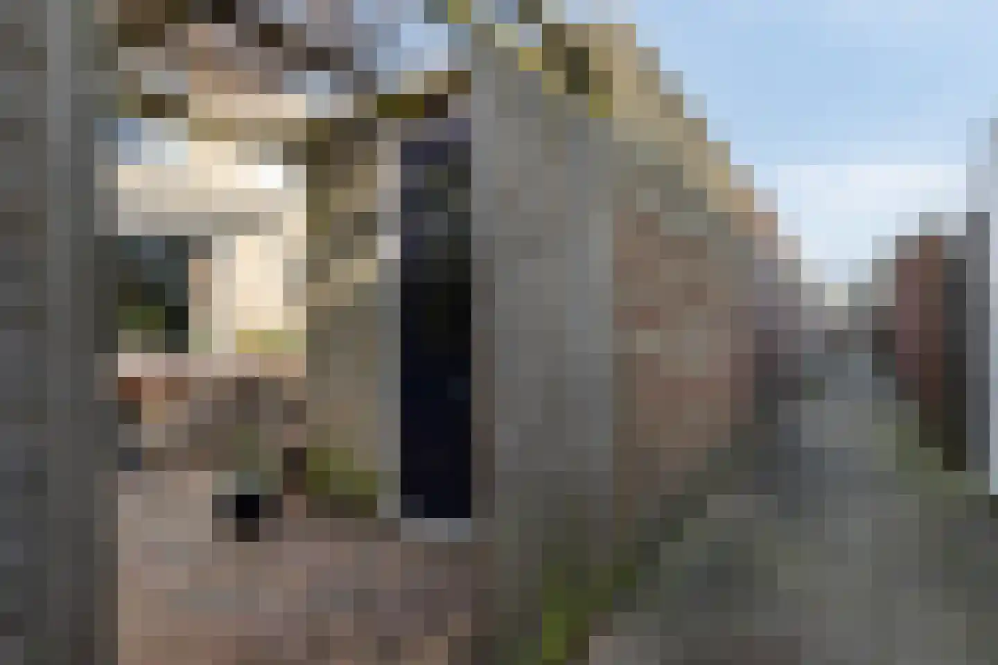 Gortmolenerf 30 Gouda thumbnail 63