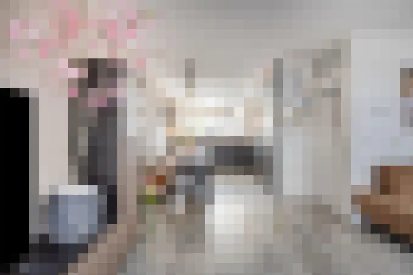 Gortmolenerf 35 Gouda thumbnail 12
