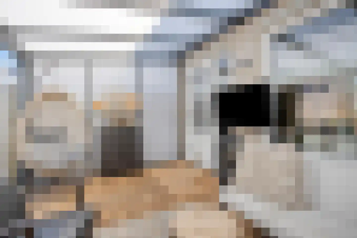 Gortmolenerf 35 Gouda thumbnail 16