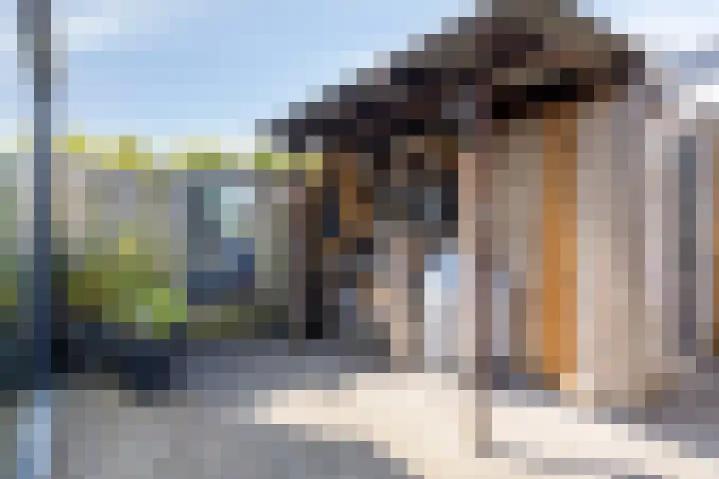 Gortmolenerf 35 Gouda thumbnail 18