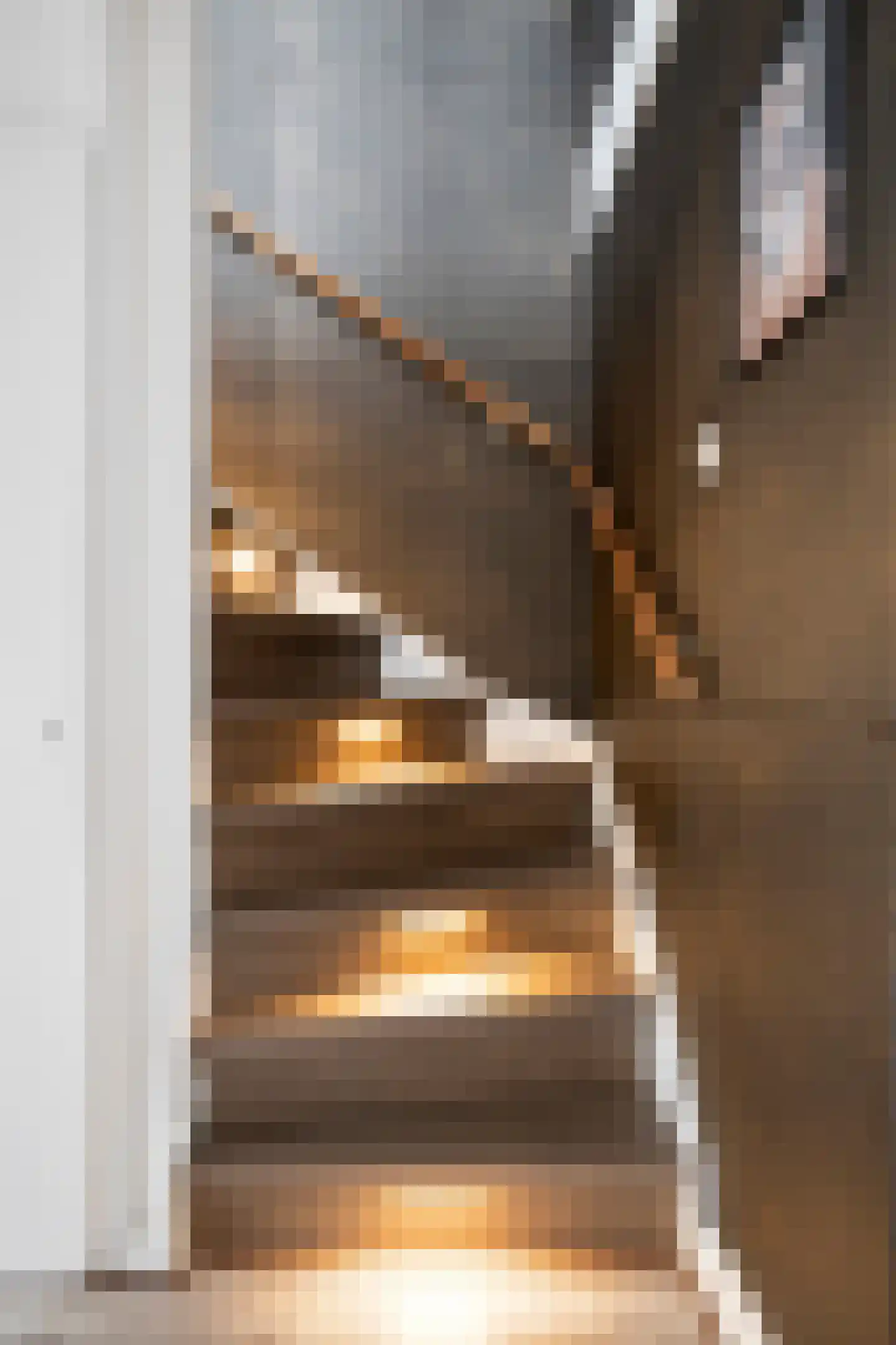 Gortmolenerf 35 Gouda thumbnail 21