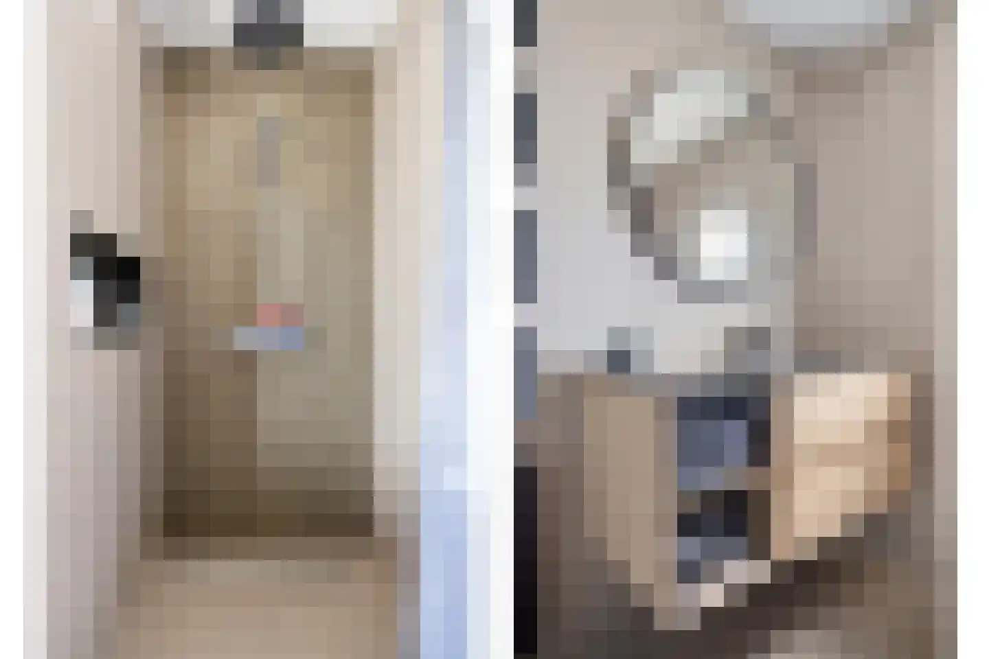 Gortmolenerf 35 Gouda thumbnail 26