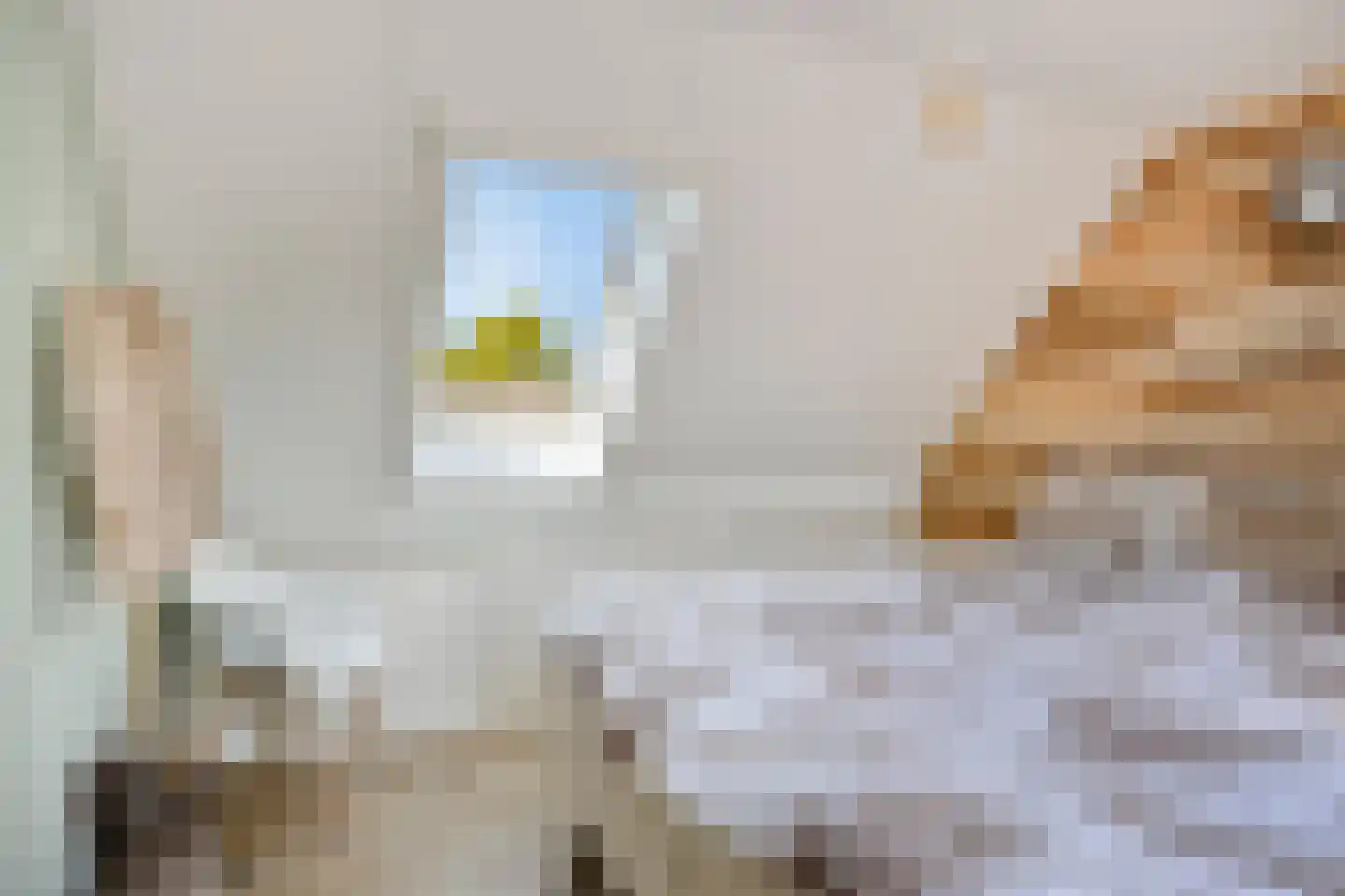 Gortmolenerf 35 Gouda thumbnail 38