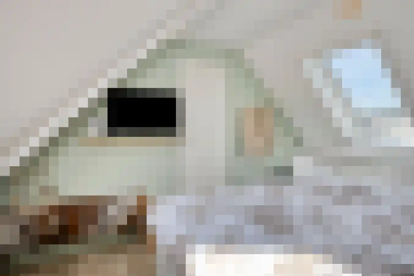 Gortmolenerf 35 Gouda thumbnail 39