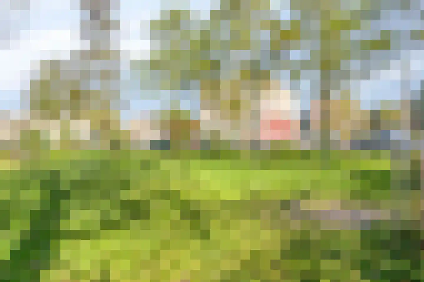 Gortmolenerf 35 Gouda thumbnail 45