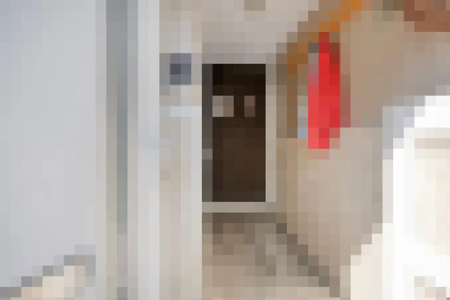 Gortmolenerf 35 Gouda thumbnail 5