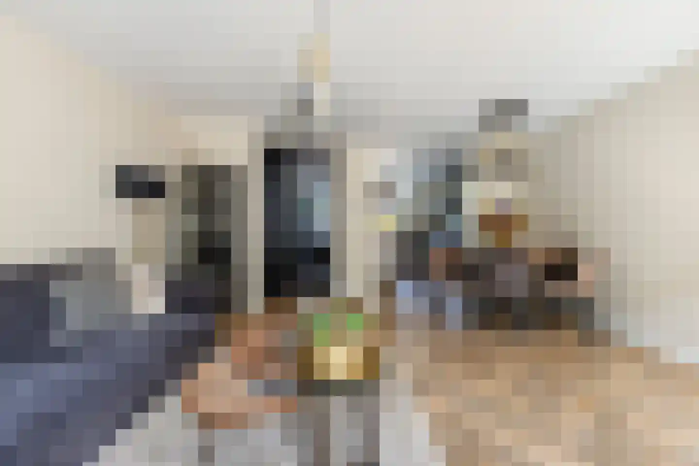 Gortmolenerf 68 Gouda thumbnail 14