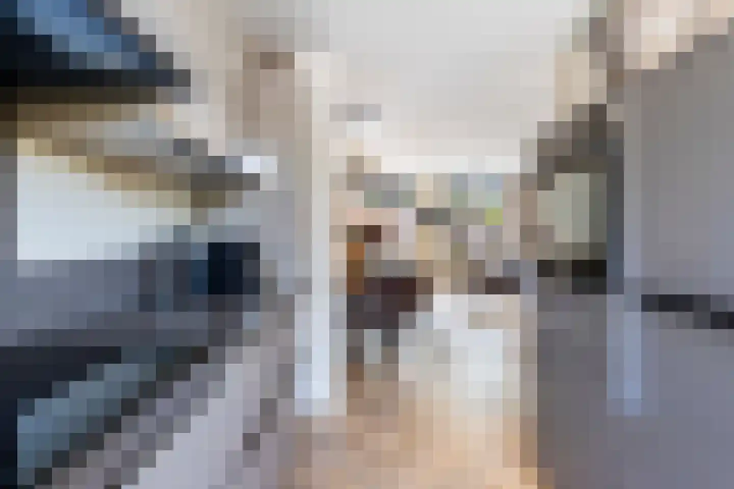 Gortmolenerf 68 Gouda thumbnail 16