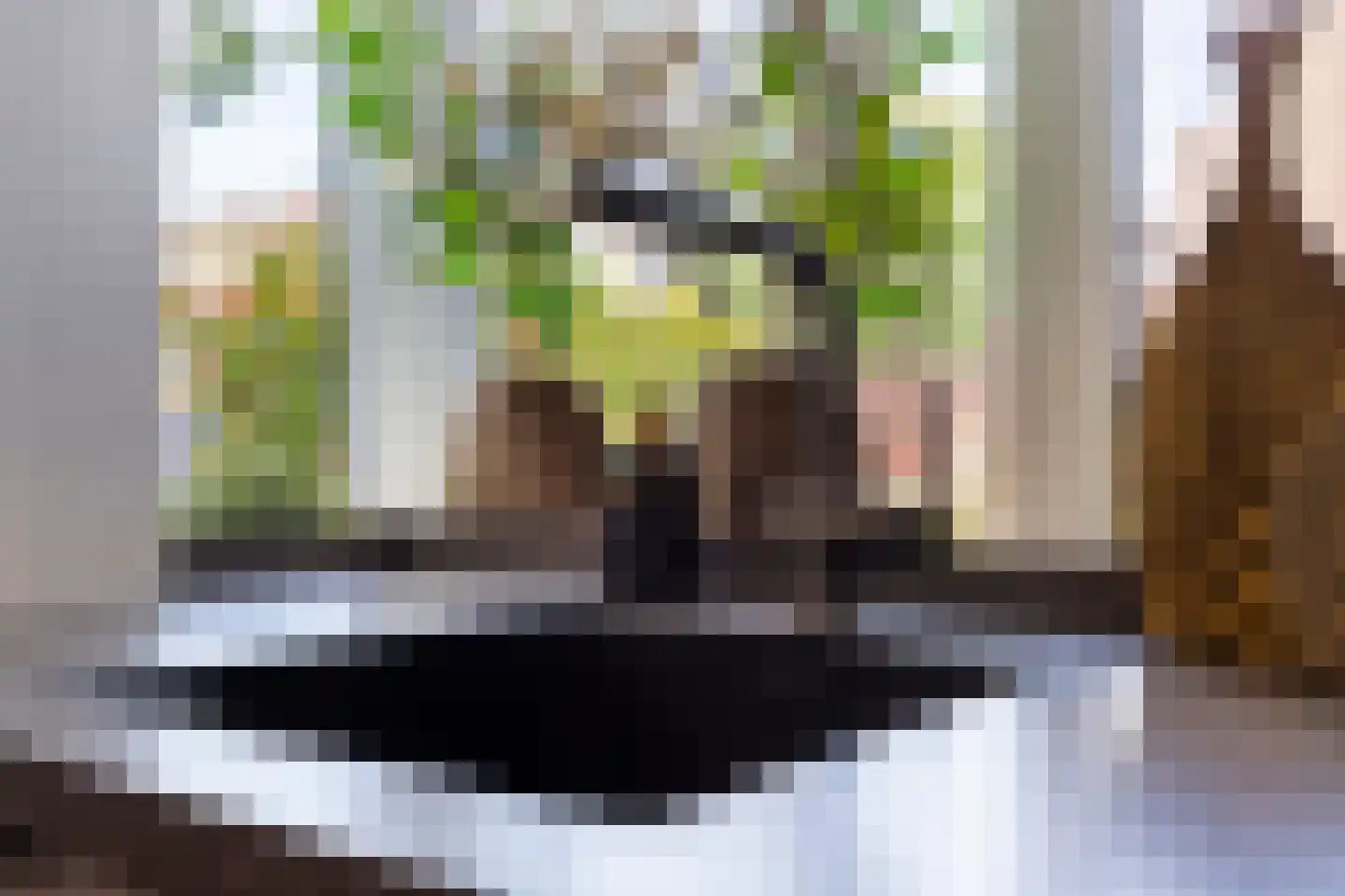Gortmolenerf 68 Gouda thumbnail 18