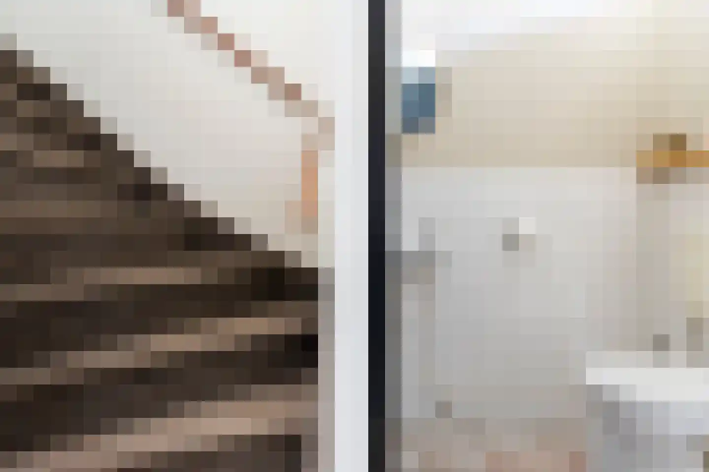 Gortmolenerf 68 Gouda thumbnail 20