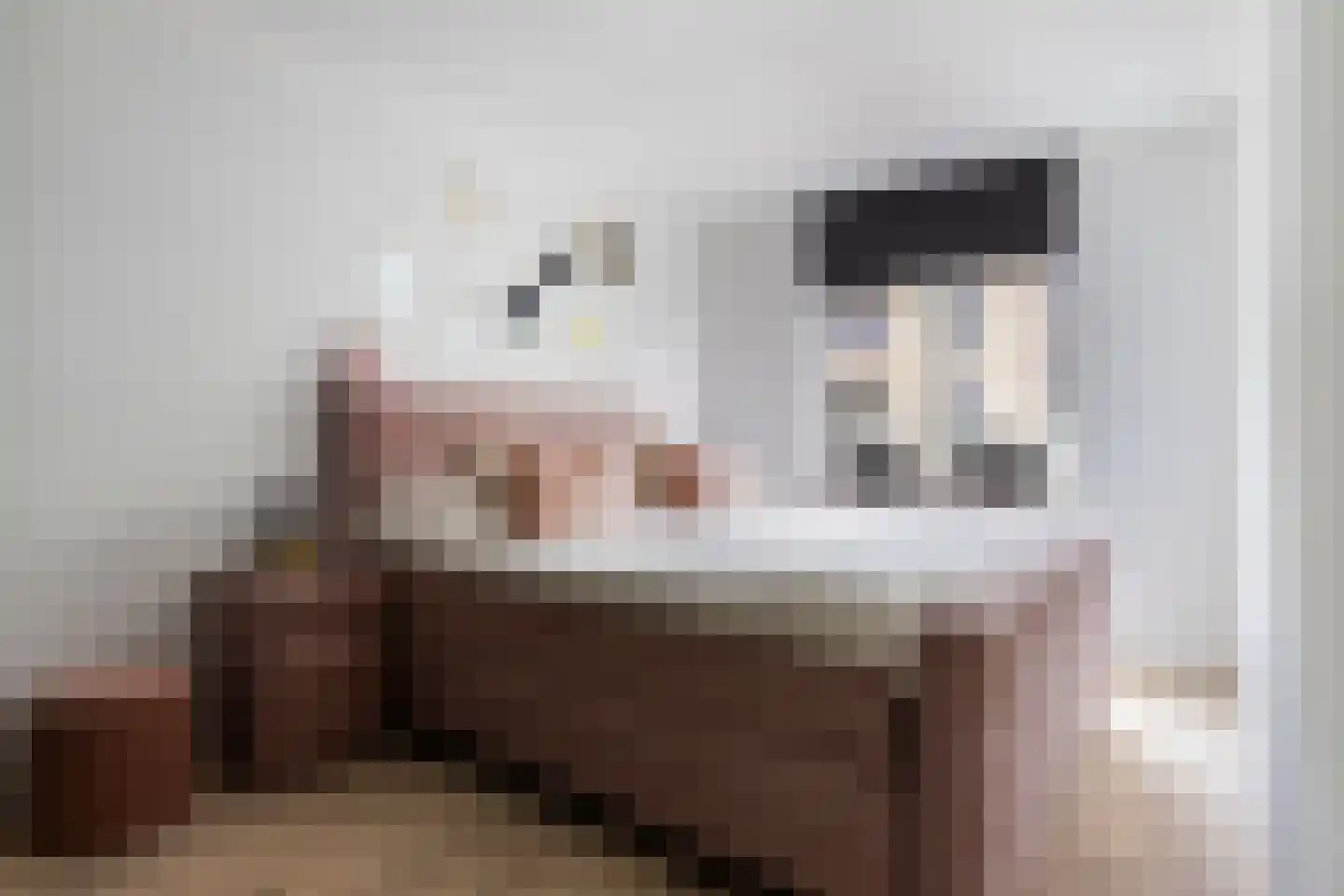 Gortmolenerf 68 Gouda thumbnail 22