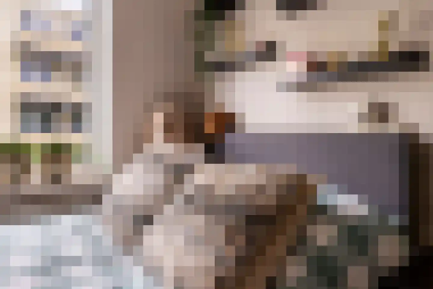 Gortmolenerf 68 Gouda thumbnail 28