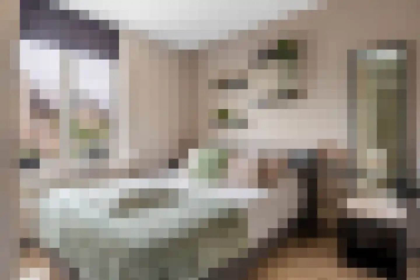 Gortmolenerf 68 Gouda thumbnail 33