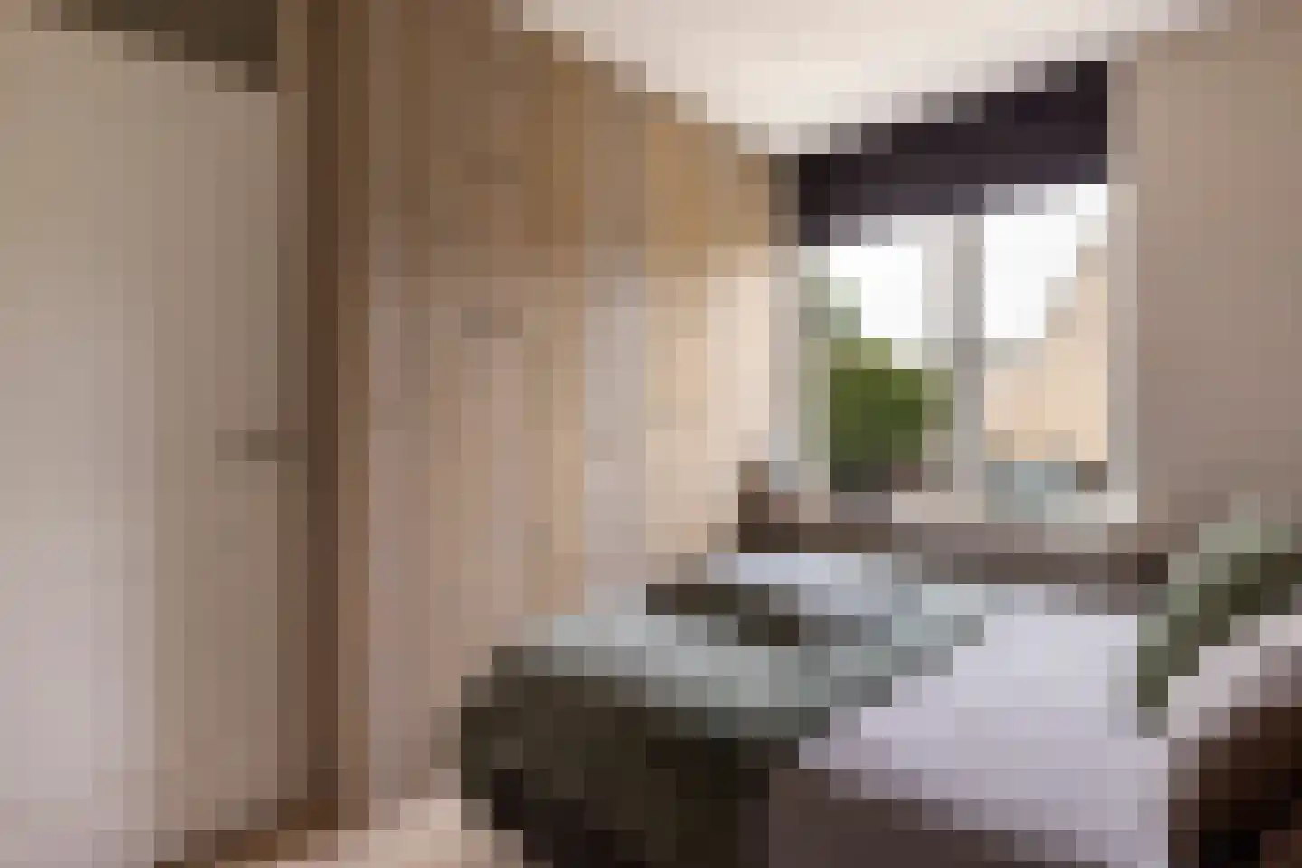 Gortmolenerf 68 Gouda thumbnail 34