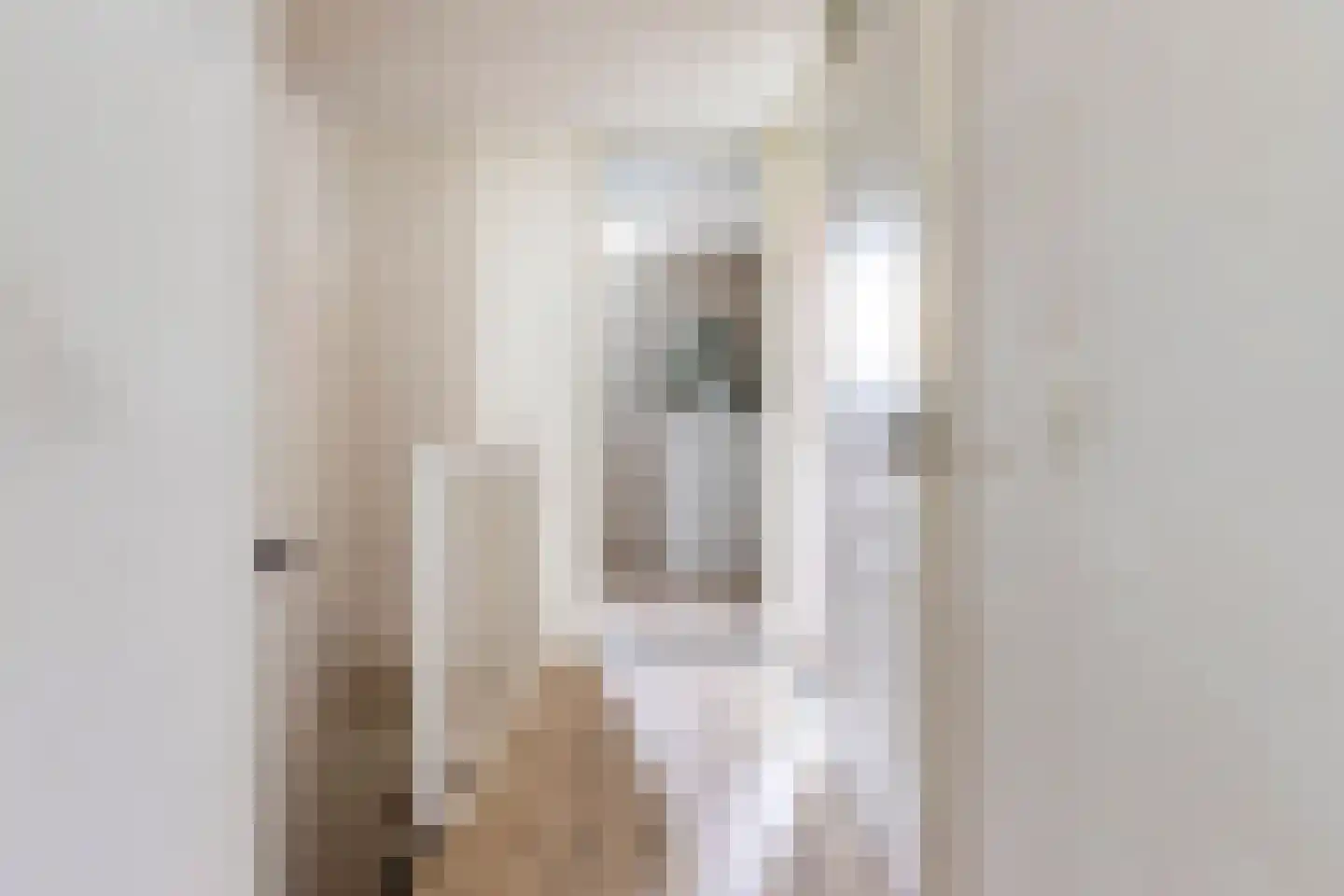 Gortmolenerf 68 Gouda thumbnail 35