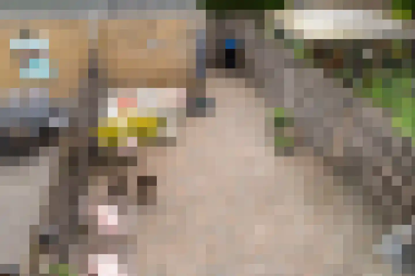 Gortmolenerf 68 Gouda thumbnail 39