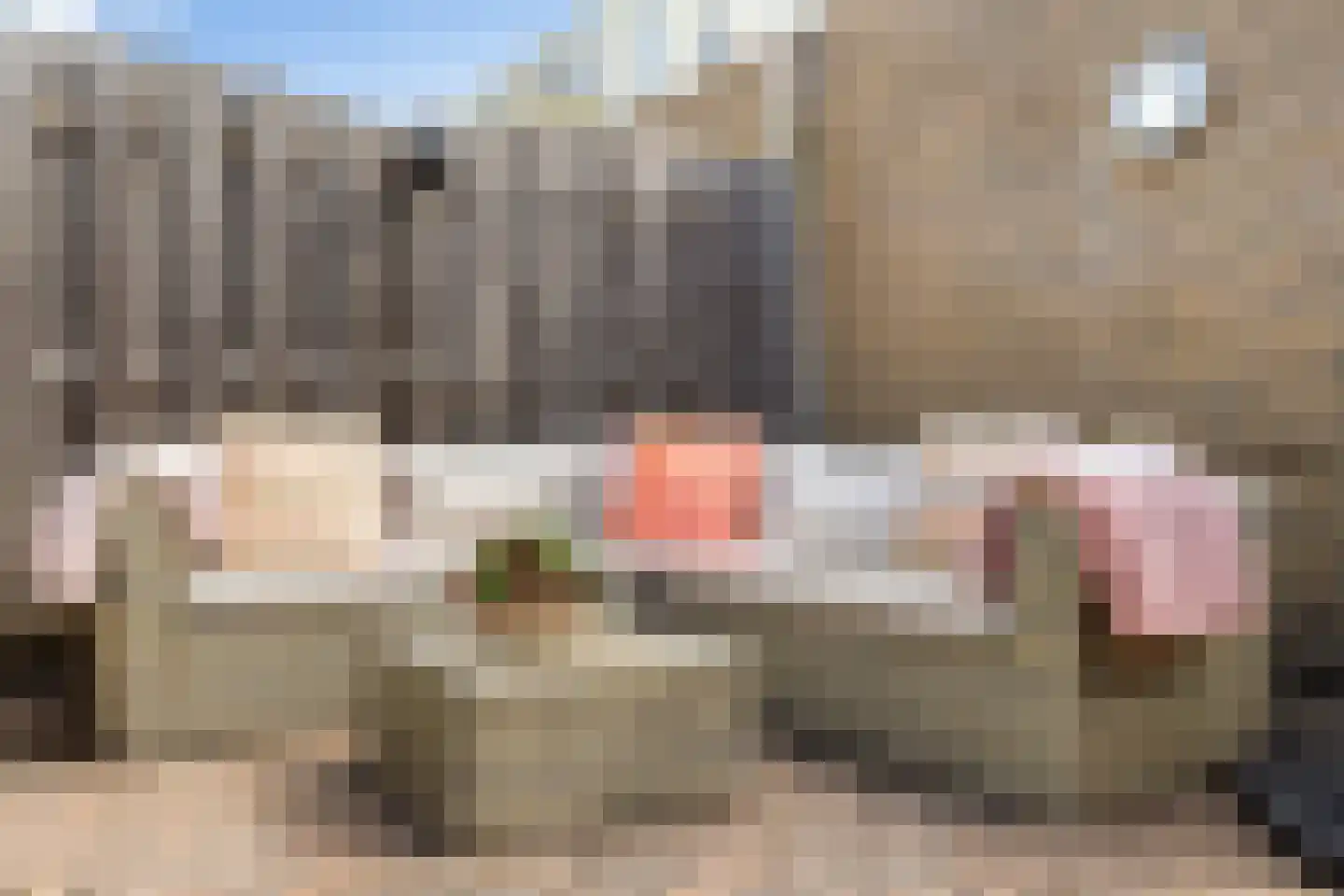 Gortmolenerf 68 Gouda thumbnail 43