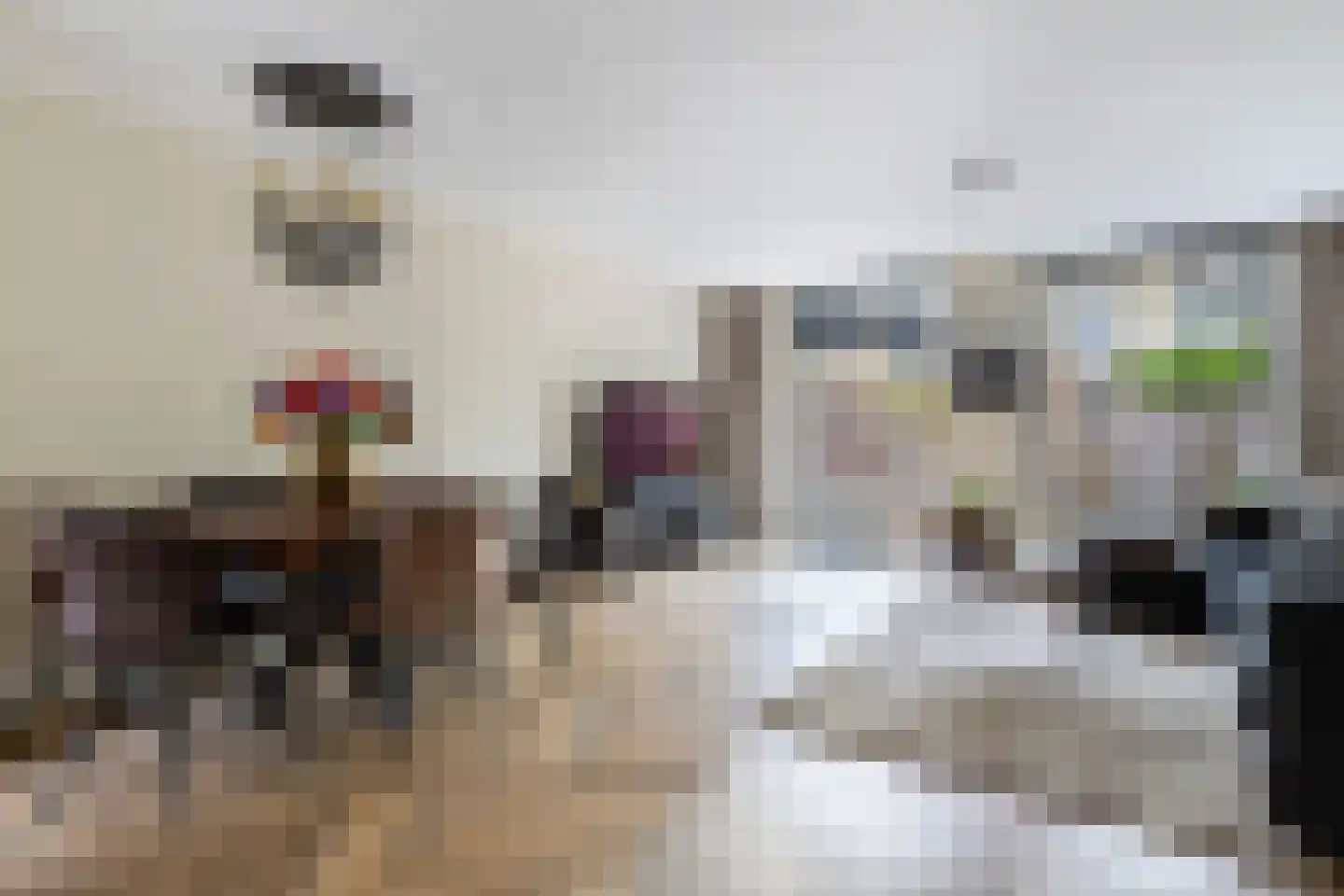 Gortmolenerf 68 Gouda thumbnail 7