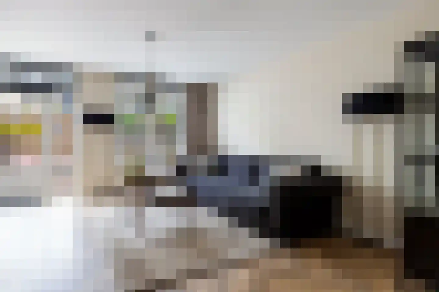 Gortmolenerf 68 Gouda thumbnail 8