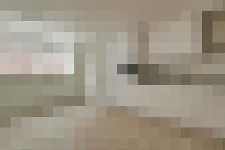 Gortsteeg 10 Hoorn thumbnail 8