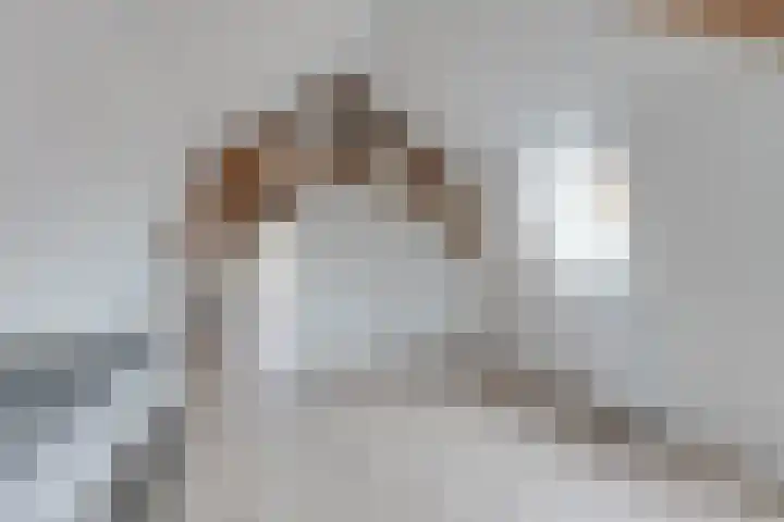 Gortsteeg 14 Hoorn thumbnail 9