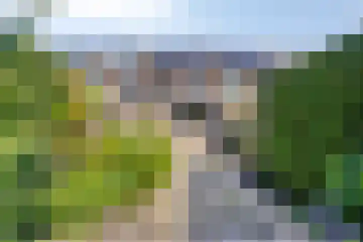 Gortstraat 103 Veenendaal thumbnail 28
