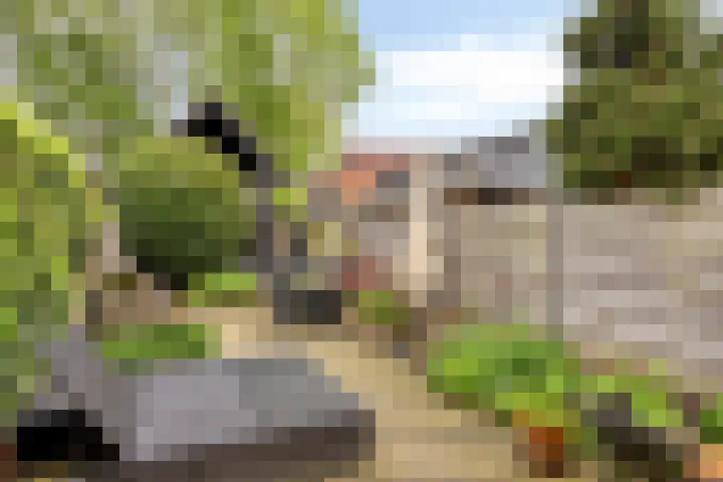 Gortstraat 134 Veenendaal thumbnail 32