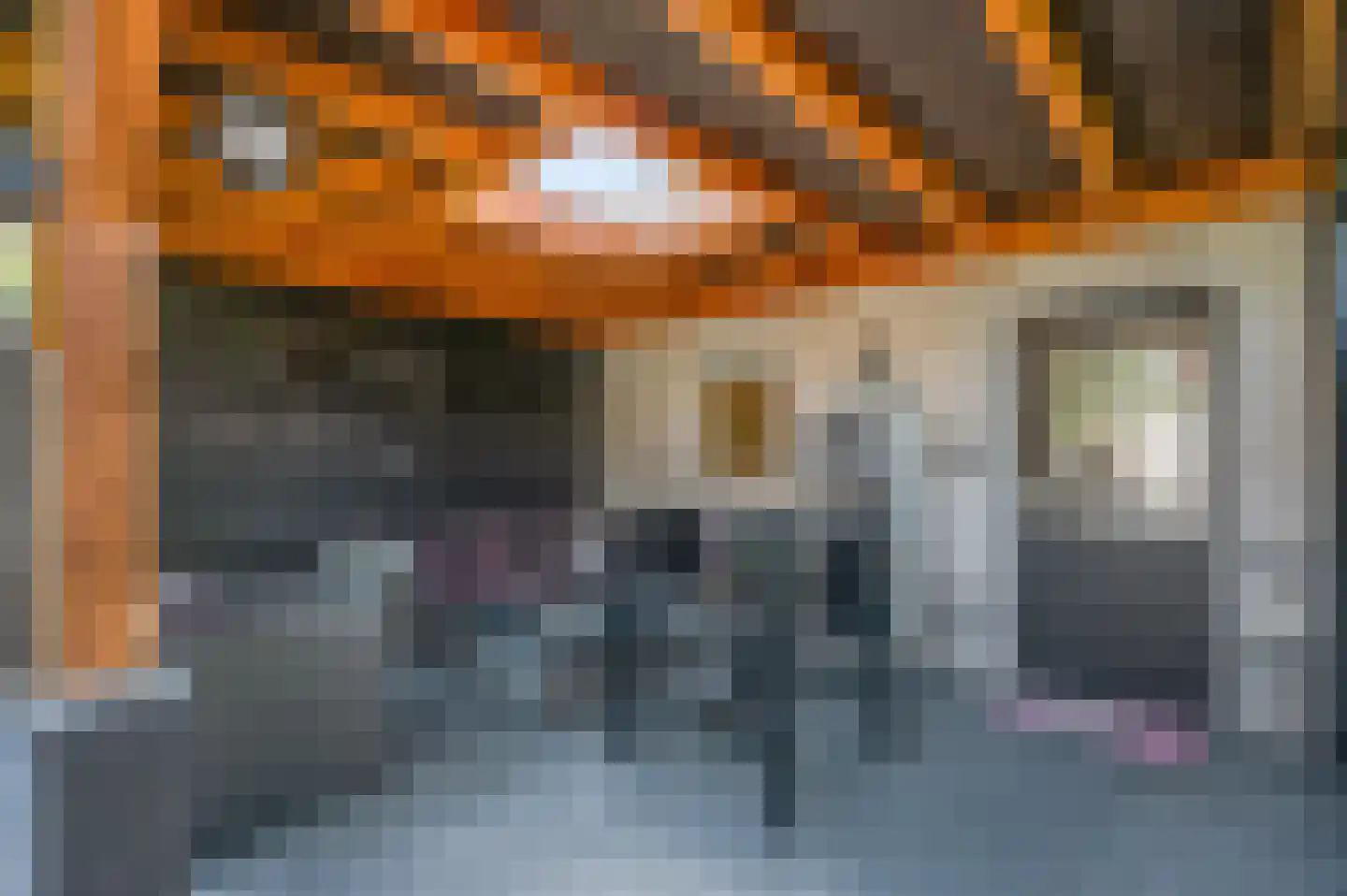 Gortstraat 23 Veenendaal thumbnail 35