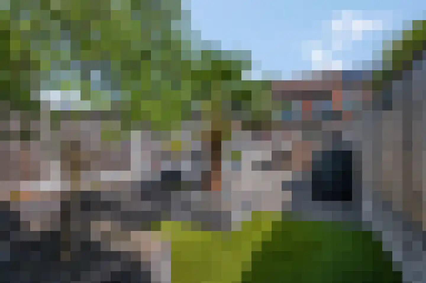 Gortstraat 23 Veenendaal thumbnail 39