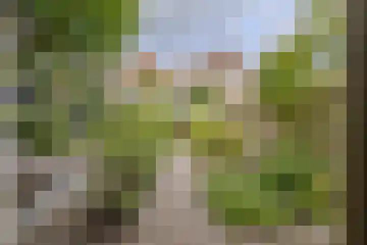 Gortstraat 44 Middelburg thumbnail 32