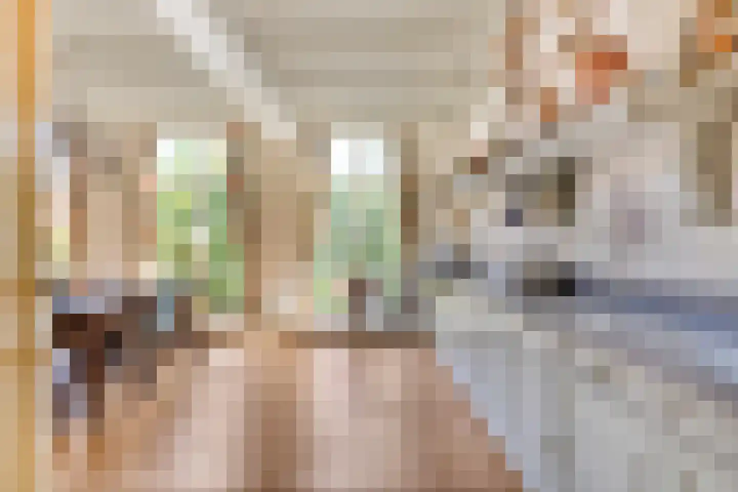 Gortstraat 63 Middelburg thumbnail 46