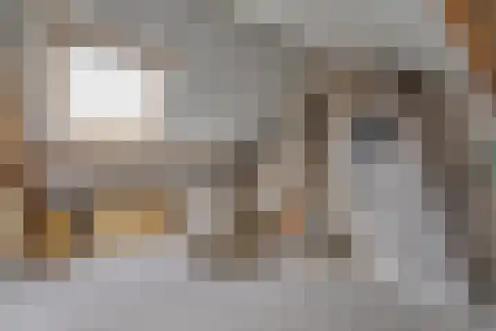 Gortstraat 69 Veenendaal thumbnail 30