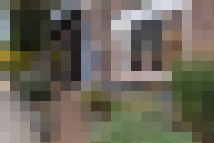Gortstraat 69 Veenendaal thumbnail 5