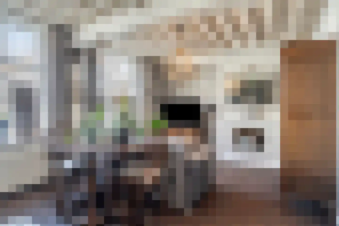 Gortstraat 71 Middelburg thumbnail 18