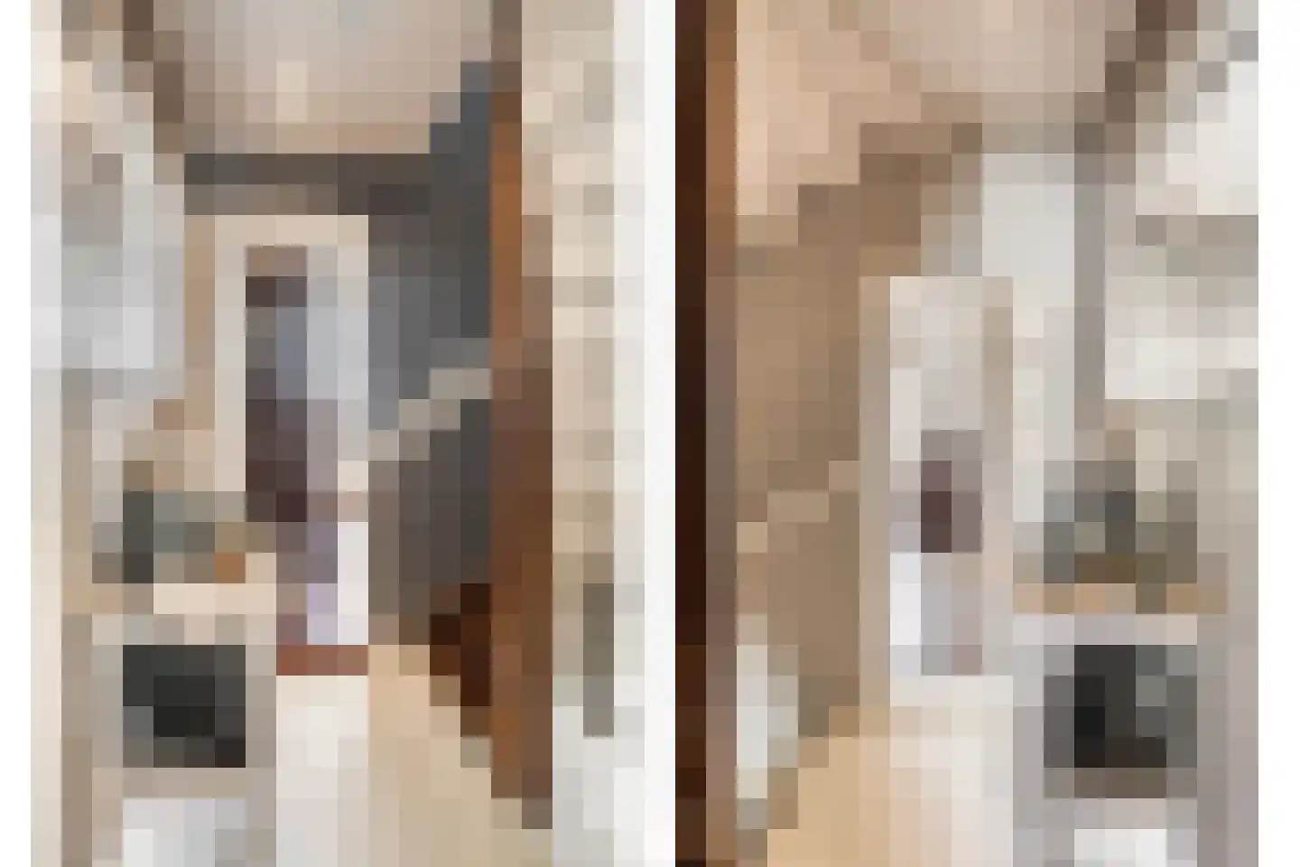 Gortstraat 71 Middelburg thumbnail 21