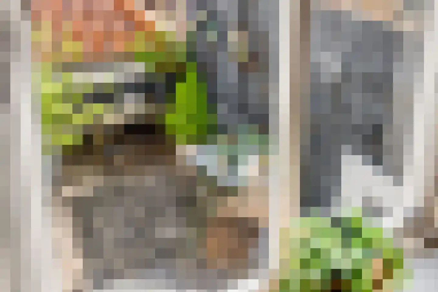Gortstraat 71 Middelburg thumbnail 26