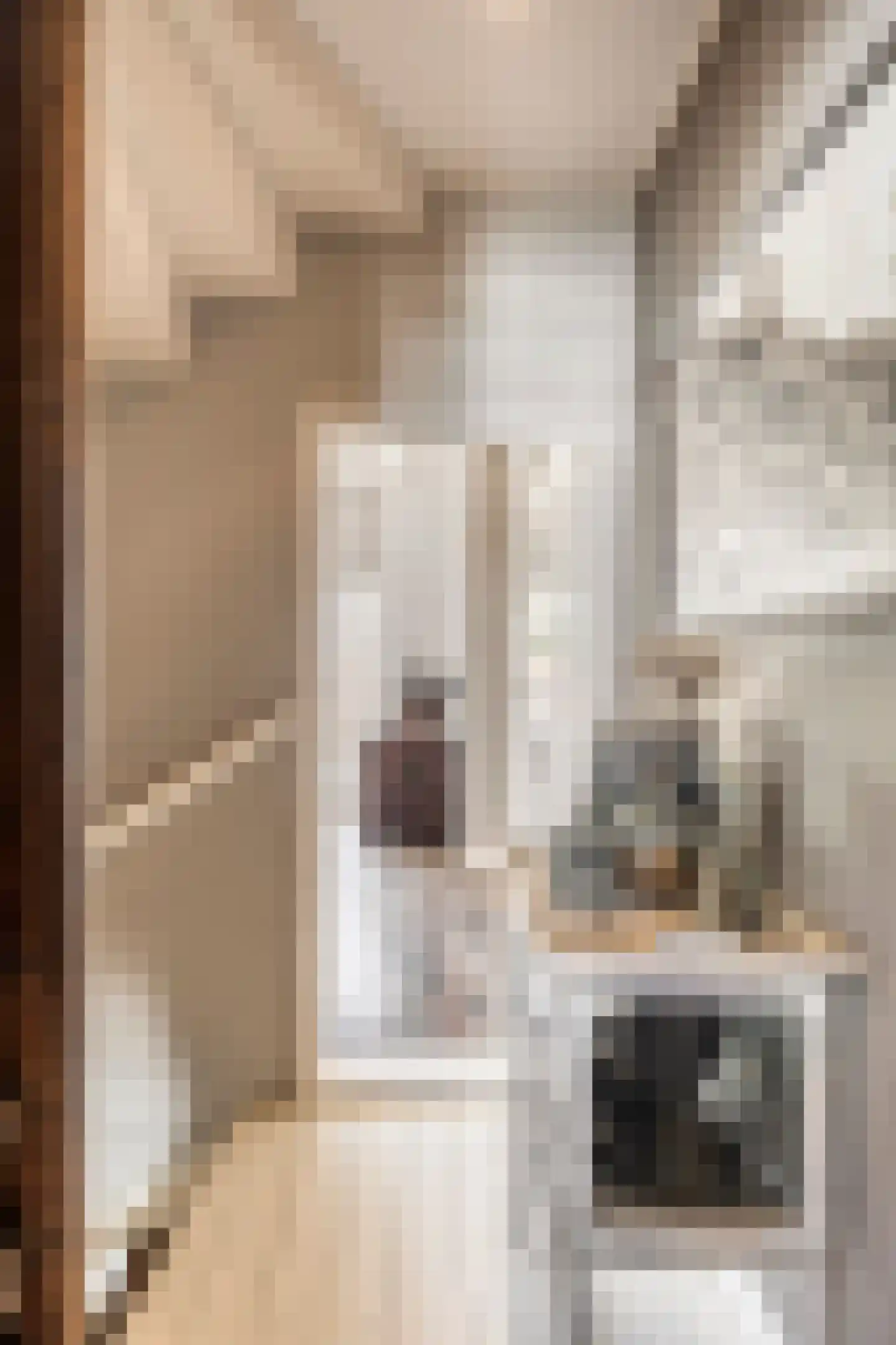 Gortstraat 71 Middelburg thumbnail 28