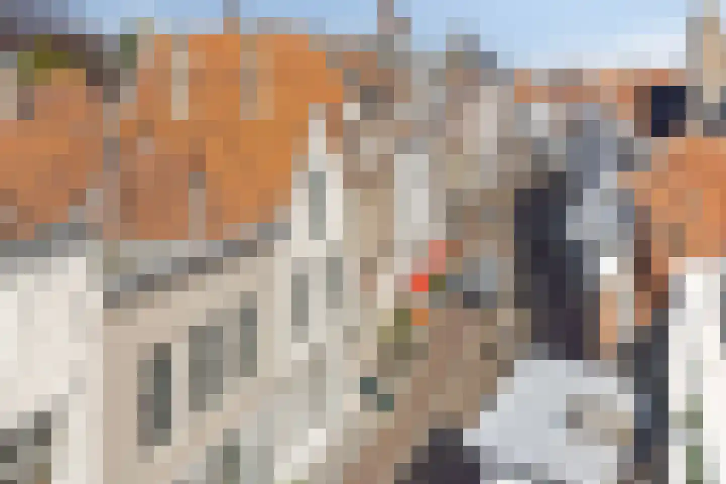 Gortstraat 71 Middelburg thumbnail 42