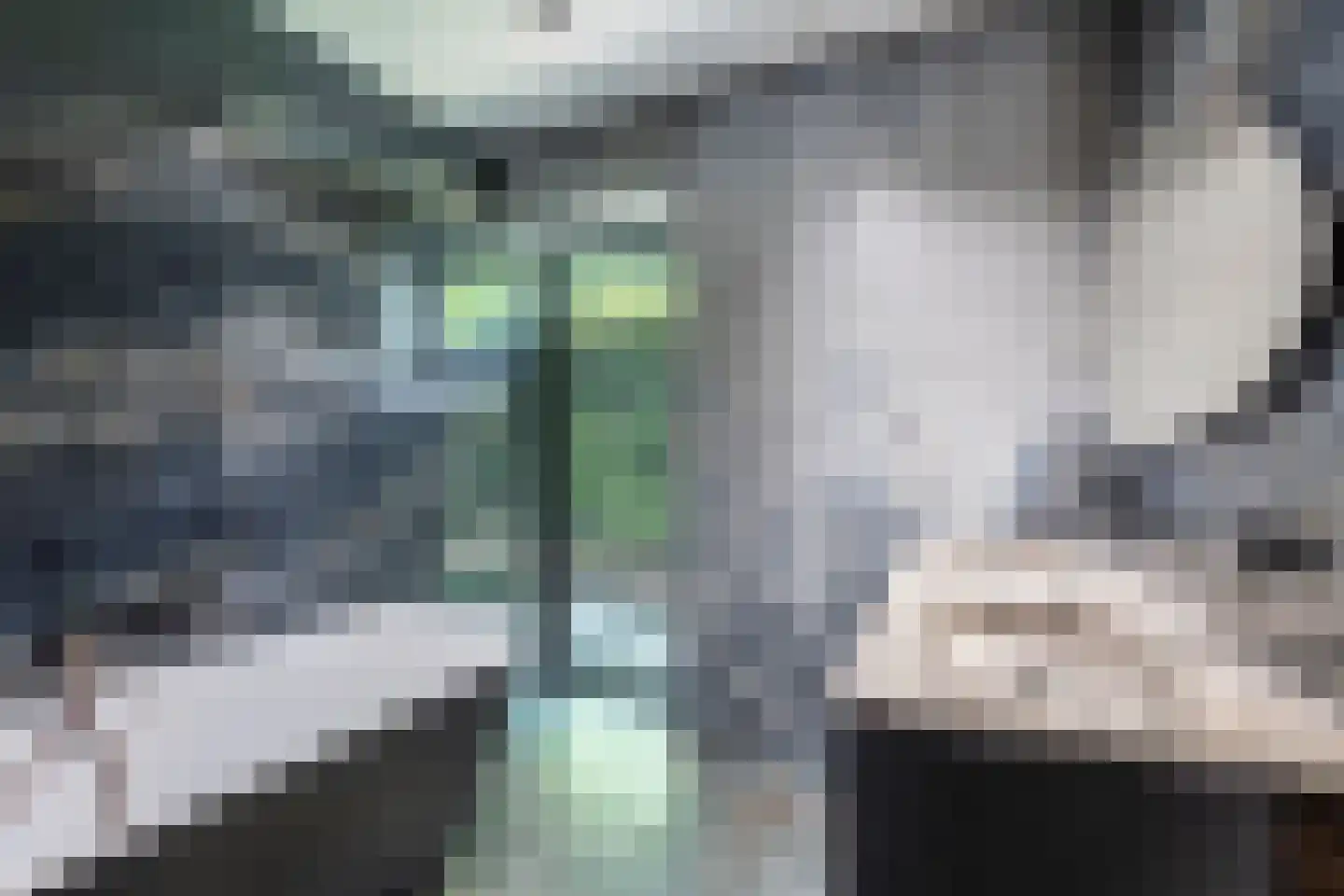Gorzendreef 8 Schimmert thumbnail 16
