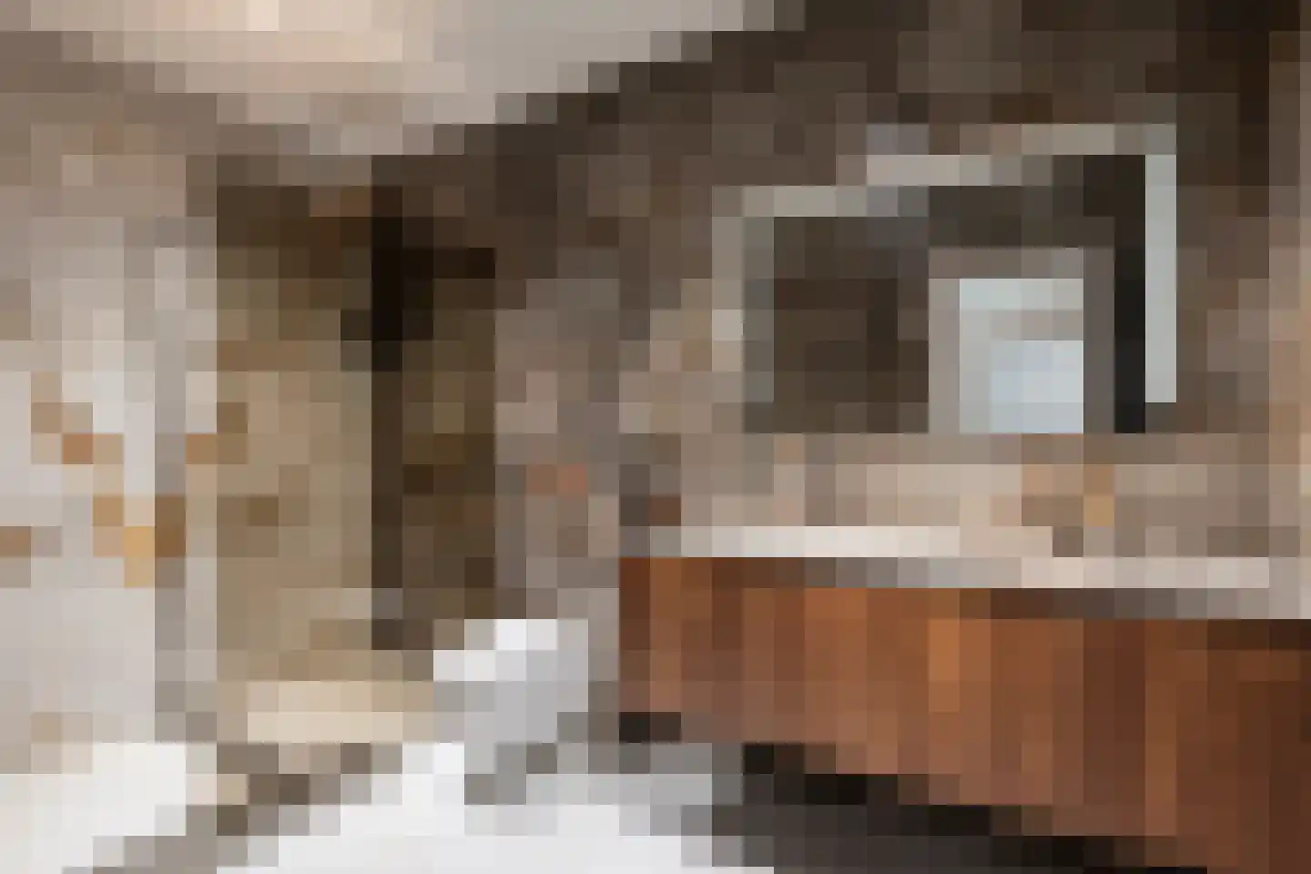 Gorzendreef 8 Schimmert thumbnail 19