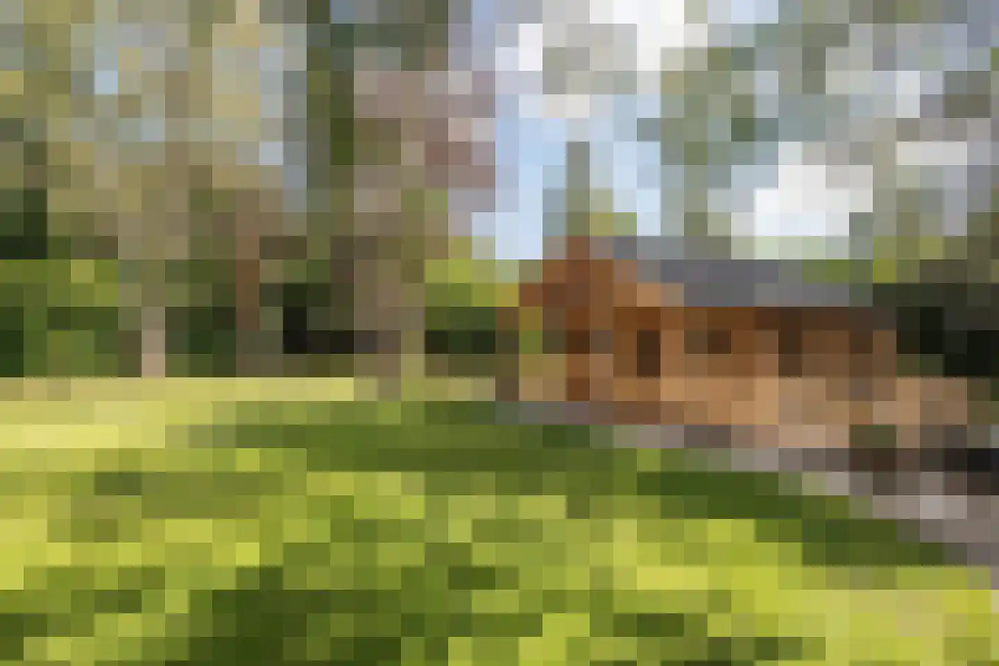 Gorzendreef 8 Schimmert thumbnail 23