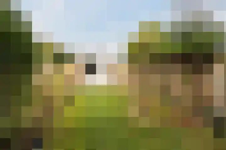 Gorzenhoek 21 Oud-Beijerland thumbnail 25