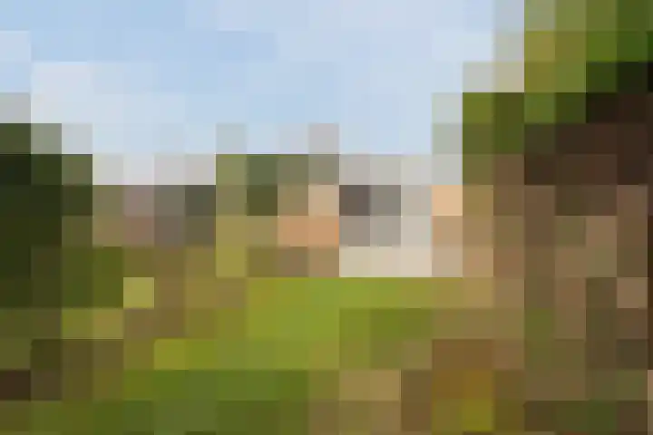 Gorzenhoek 21 Oud-Beijerland thumbnail 26