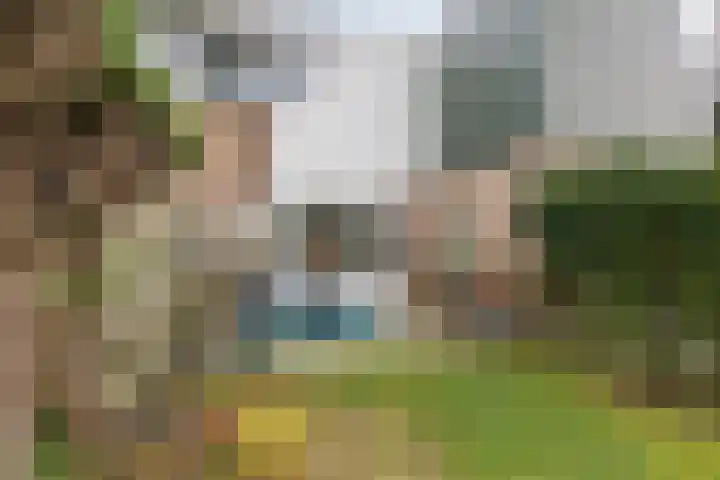 Gorzenhoek 21 Oud-Beijerland thumbnail 27