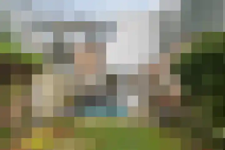 Gorzenhoek 21 Oud-Beijerland thumbnail 28